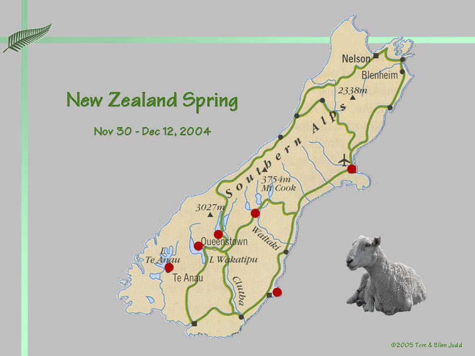 nz01