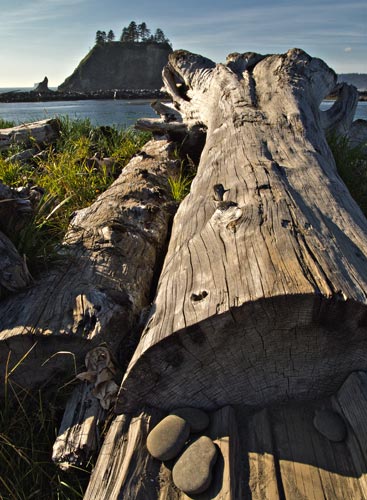 DriftwoodFirstBeachLaPush.jpg