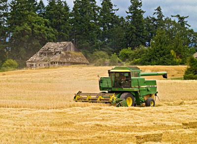 Mowing1.jpg