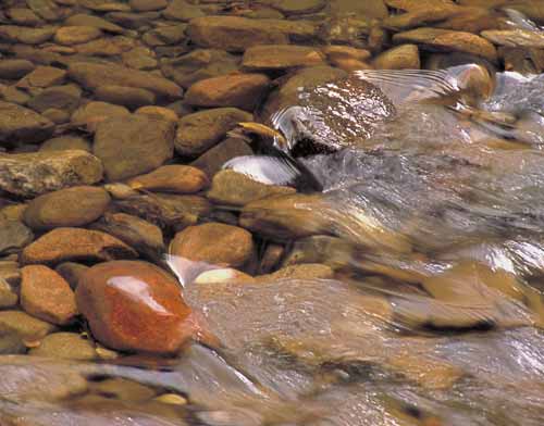 StreamBed